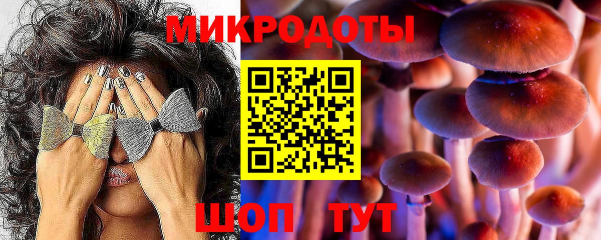 Галлюциногенные грибы Psilocybe Кувандык